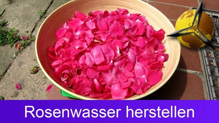 wie macht man rosenwasser