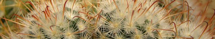 es gibt immer eine lösung es gibt immer eine lösung