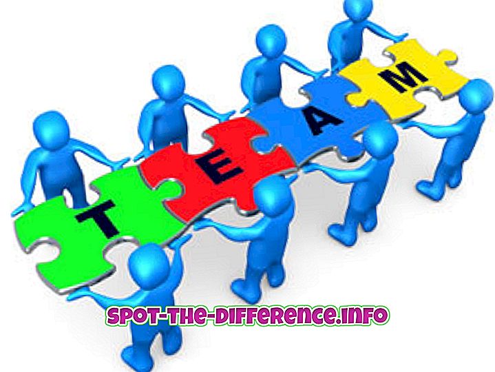 unterschied team und gruppe