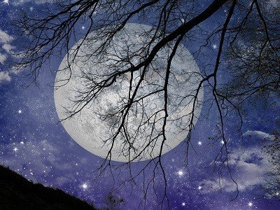 mondknoten berechnen online kostenlos mondknoten berechnen online kostenlos