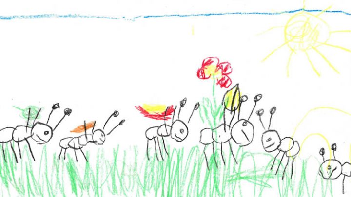 es waren einmal zwei ameisen es waren einmal zwei ameisen