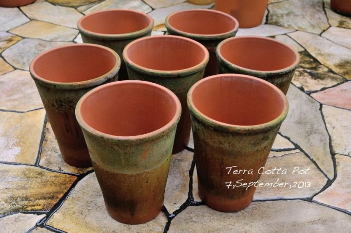 my garden life sebastian