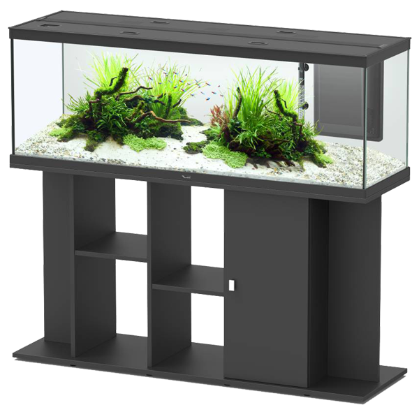 aquarium 120 cm sans meuble