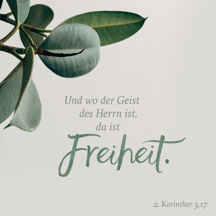 psalm 38 hoffnung für alle psalm 38 hoffnung für alle