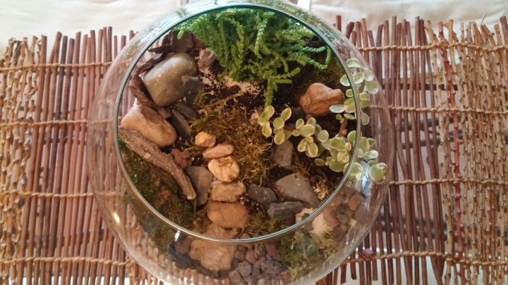meuble terrarium fait maison meuble terrarium fait maison