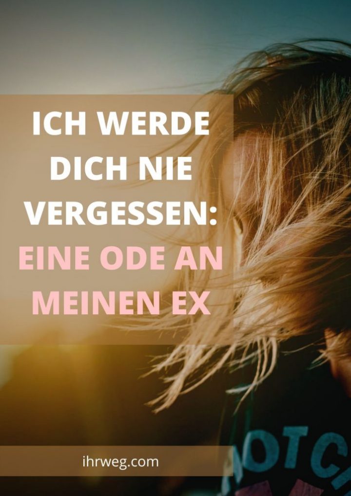 ich werde dich nie vergessen text ich werde dich nie vergessen text