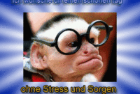 lustige bilder schöner tag