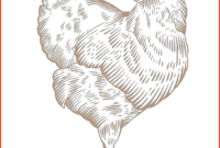 huhn zeichnungen huhn zeichnungen