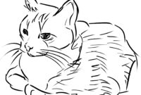 katze zum ausdrucken katze zum ausdrucken