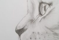 katzen nachzeichnen katzen nachzeichnen