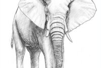 elefanten malen leicht elefanten malen leicht