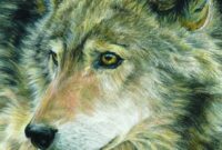 malen nach zahlen buntstifte malen nach zahlen buntstifte