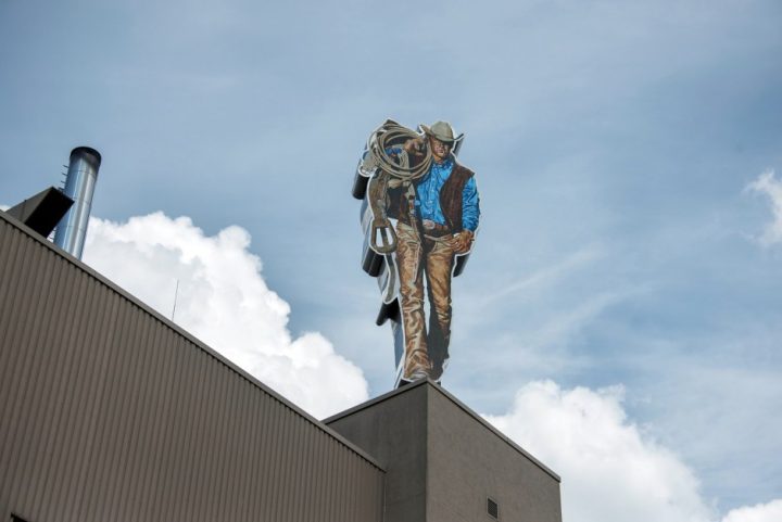 der mann auf dem dach der mann auf dem dach