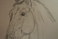 pferdekopf einfach zeichnen pferdekopf einfach zeichnen