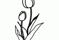 windows color vorlagen windows color vorlagen