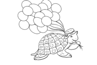 ausmalbilder schildkröten ausmalbilder schildkröten