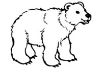 bären ausmalbilder bären ausmalbilder