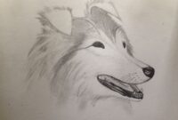 zeichnung tiere zeichnung tiere