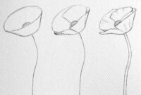 zeichnen lernen blumen zeichnen zeichnen lernen blumen zeichnen