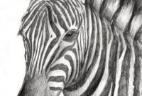 zebra malen zebra malen