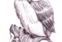 zeichnungen eule zeichnungen eule