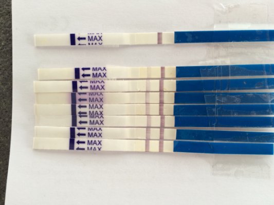 one step schwangerschaftstest verdunstungslinie