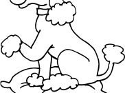 pudel ausmalbild pudel ausmalbild