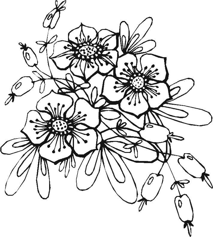 Die 20 Besten Ideen Für Ausmalbilder Blumen Ranken – Beste Wohnkultur