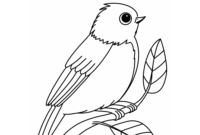 vogel zum ausdrucken vogel zum ausdrucken