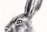 strichzeichnung tiere strichzeichnung tiere