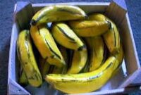 bananen basteln bananen basteln