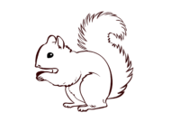 schablone eichhörnchen vorlage schablone eichhörnchen vorlage