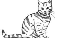 katzen nachzeichnen katzen nachzeichnen