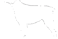 umrisse hund umrisse hund