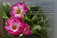 gute besserung bilder kostenlos gute besserung bilder kostenlos