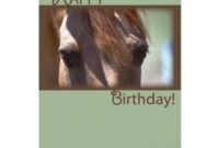 alles gute zum geburtstag pferd