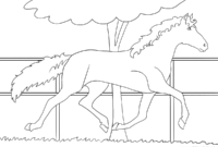 ausmahlbilder pferde ausmahlbilder pferde