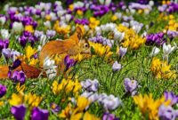 bilder zum runterladen kostenlos bilder zum runterladen kostenlos