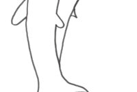 delfin ausmalbild delfin ausmalbild