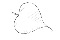 blatt ausschneiden vorlage blatt ausschneiden vorlage