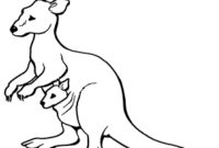 känguru zum ausmalen känguru zum ausmalen