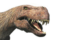 t rex bild