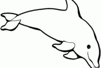 delfin vorlage zum ausdrucken delfin vorlage zum ausdrucken