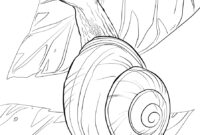 schnecke malen vorlagen