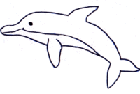 delfin vorlagen zum ausdrucken delfin vorlagen zum ausdrucken