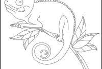 chamäleon zum ausmalen chamäleon zum ausmalen
