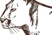 skizze tier skizze tier