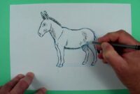 esel zeichnen vorlage esel zeichnen vorlage