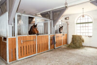 ausmalbild pferdestall