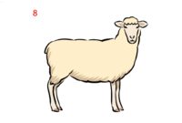 schaf malen einfach